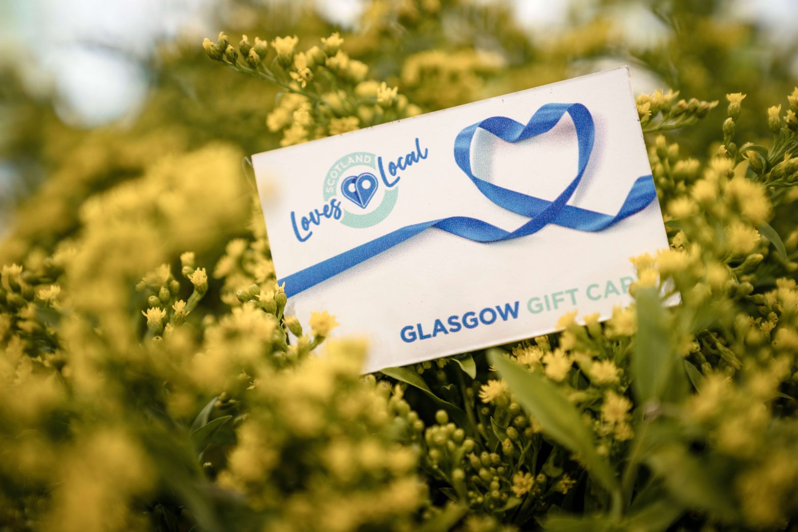 Scotland Loves Local Cards Possilpark Business Improvement District BID scotland-loves-local-cards-possilpark-business-improvement-district-bid